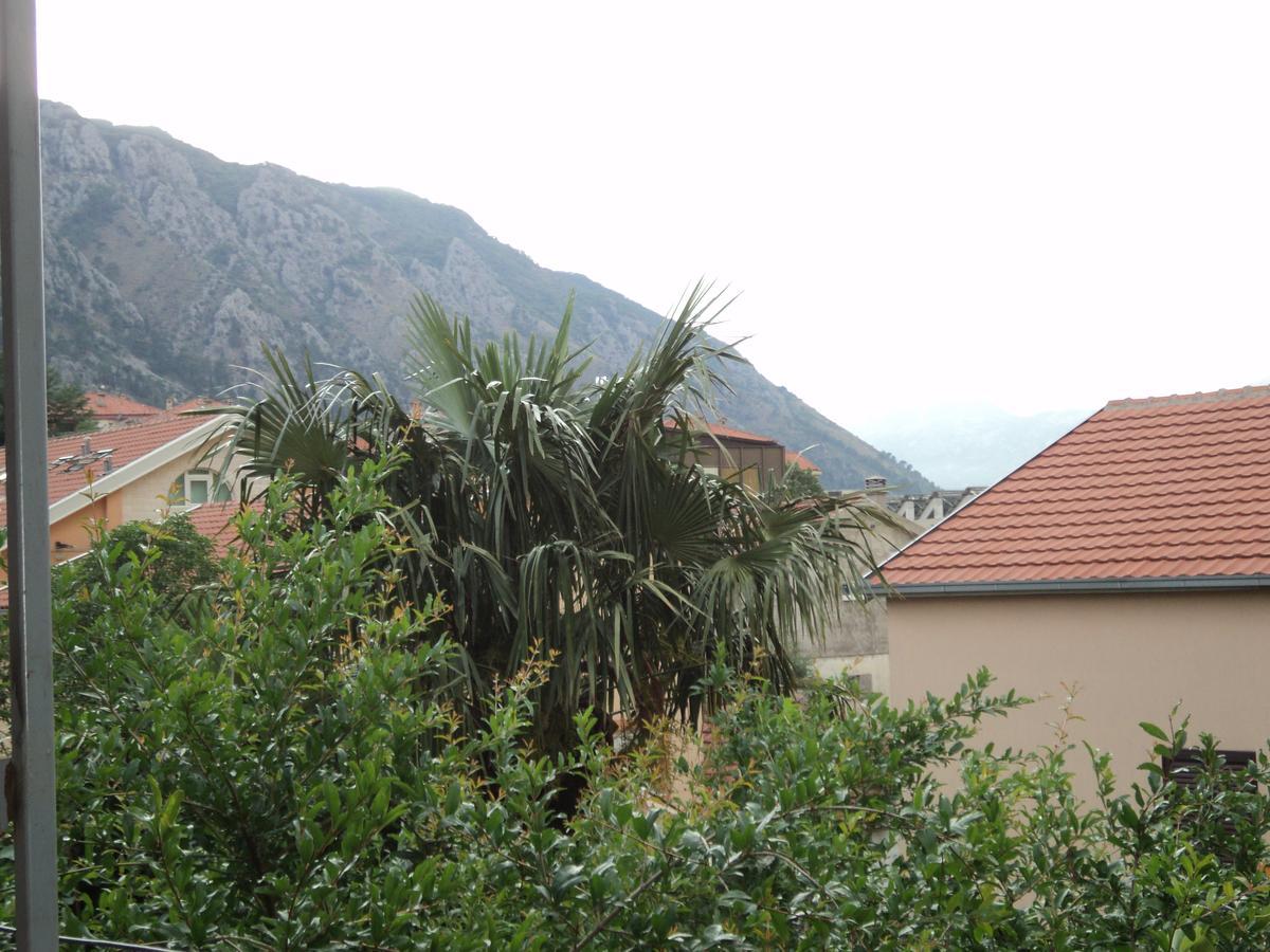 Apartments Skaljari Kotor Exterior foto